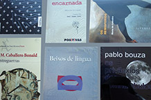 Mostra bibliográfica: biblioteca Xosé Neira Vilas